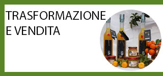 chinotto trasformazione