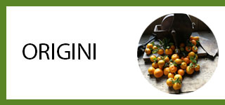 origini del chinotto